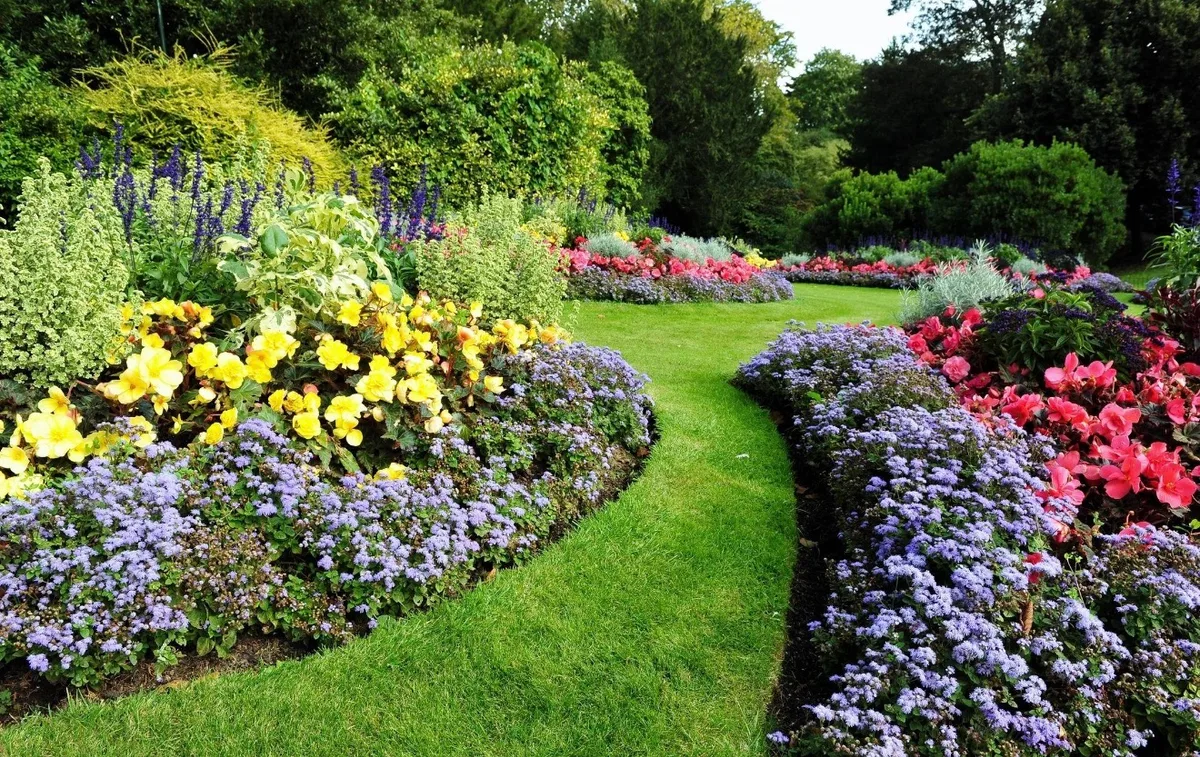 Blühende Beete mit gelben, rosa und blauen Blumen und einem geschwungenen Rasenweg